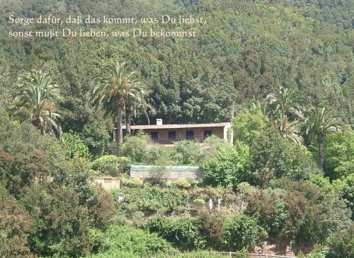 Nationalpark Garajonay, La Gomera, 2005